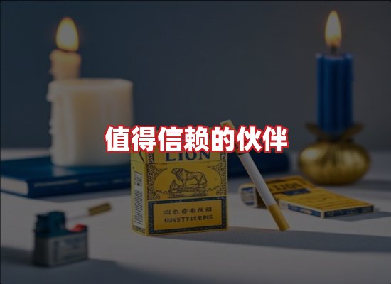 专业团队